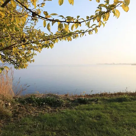 Holiday Guldborg *